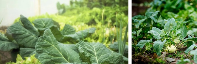 Lär dig mer om att leva hållbart.