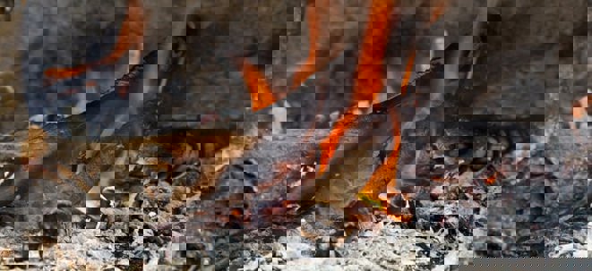 Bild på en eld till information om hävt eldningsförbud