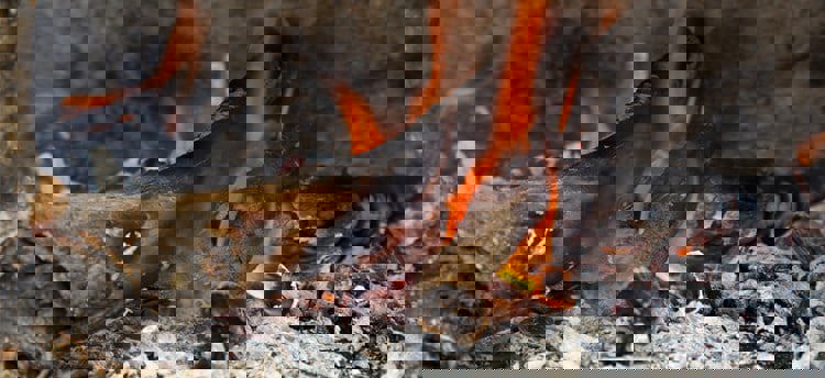 Bild på en eld till information om hävt eldningsförbud