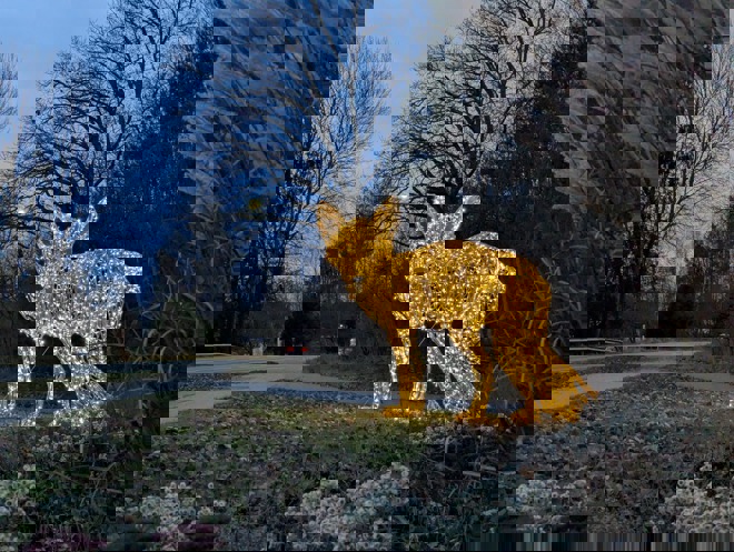 Vinterbelysning i Mölnbo