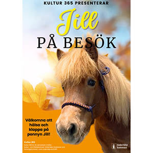 Bild på hästen Jill