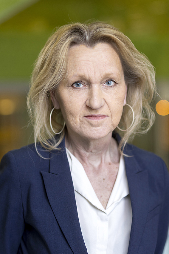 Bild på Boel Godner  (S)